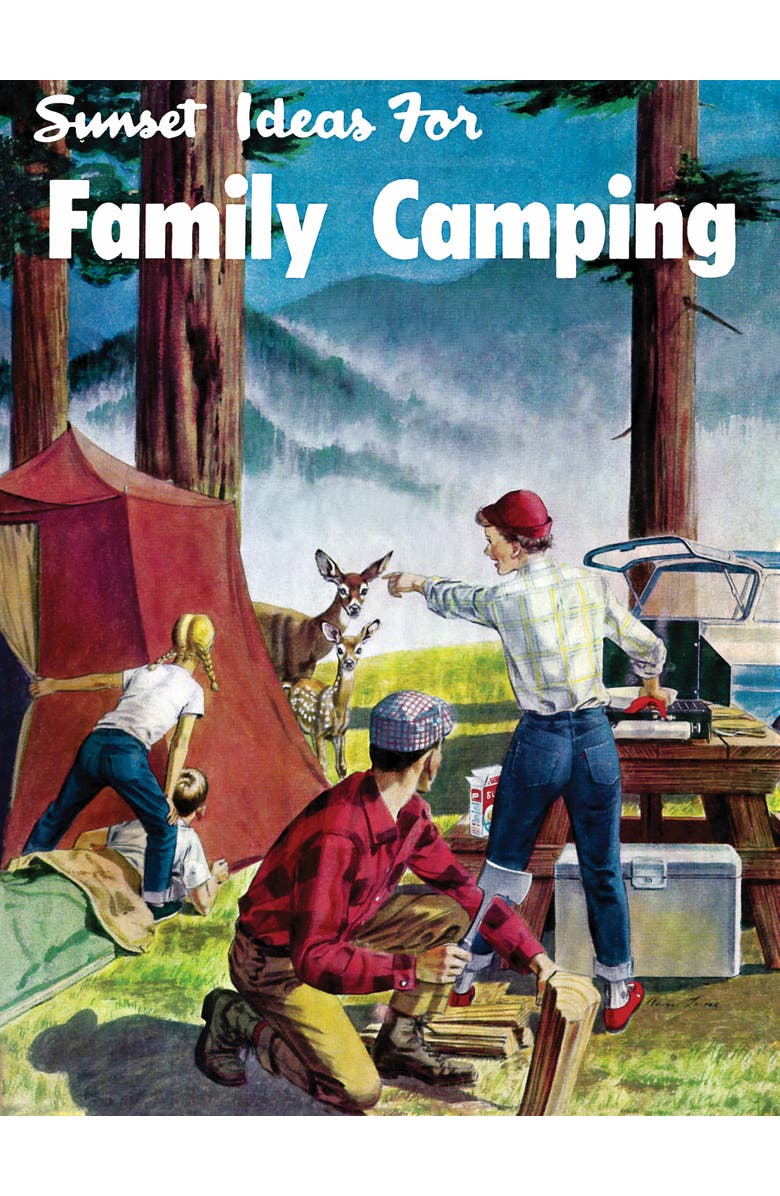 NEW YORK PUZZLE COMPANY Family Camping 1000 Piece Puzzle, Alternate, color, NO COLOR