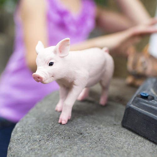 Safari Ltd. Piglet