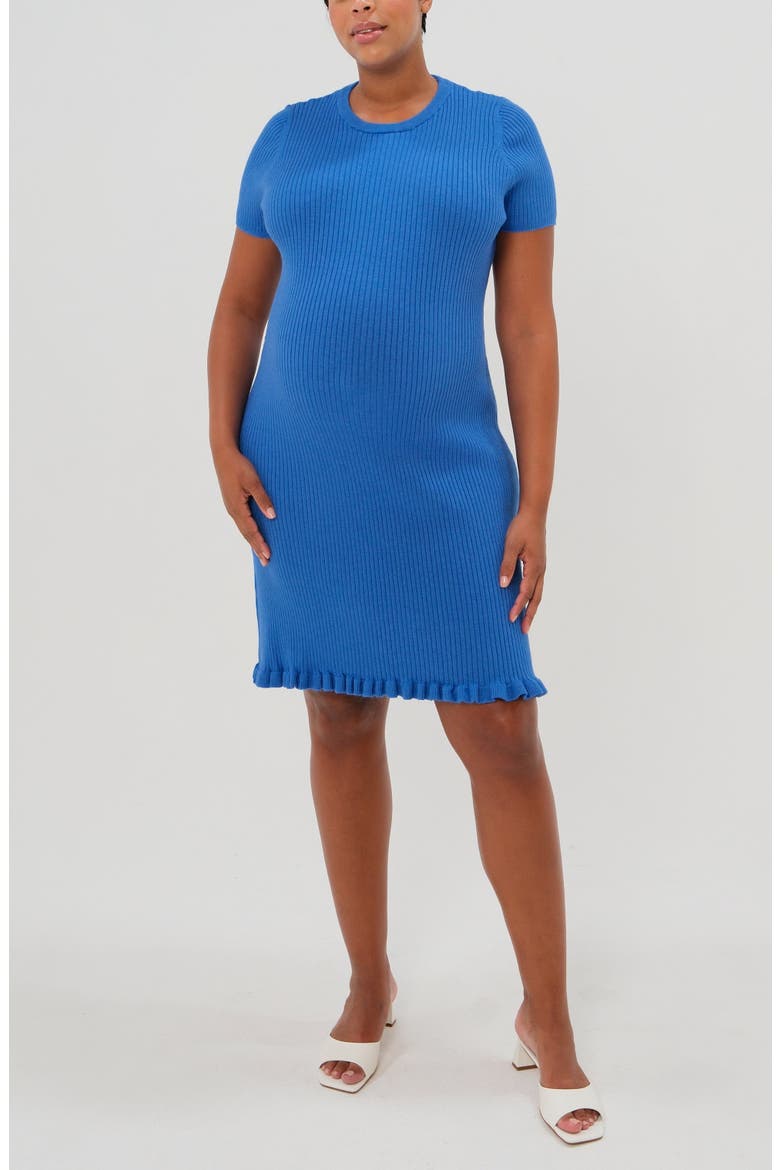 Women's Short Sleeve Knit Maternity Knee Length Sweater Dress with Hem Detail, Alternate, color, Blue