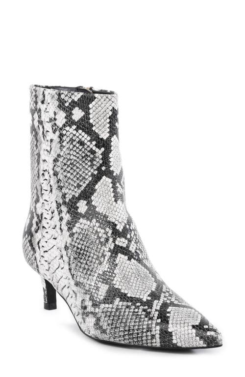 Shop Seychelles Dinner Date Pointed Toe Boot In Black/white Leather