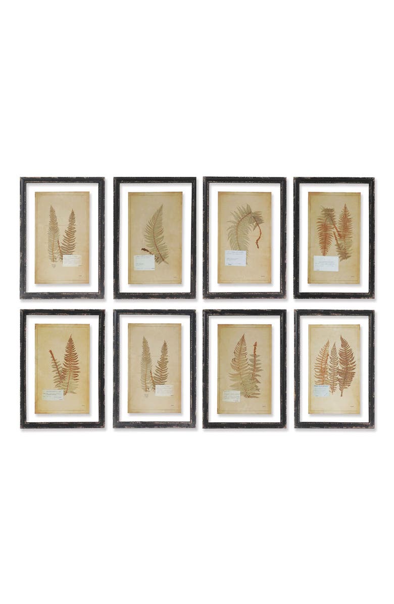 Napa Home & Garden Framed Vintage Fern Prints Set of 8, Main, color, Brown