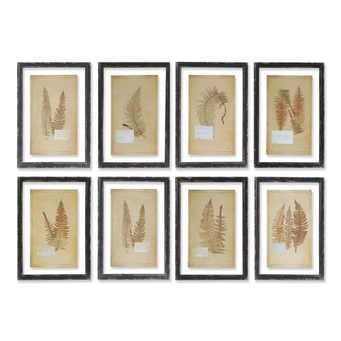 Framed Vintage Fern Prints Set of 8