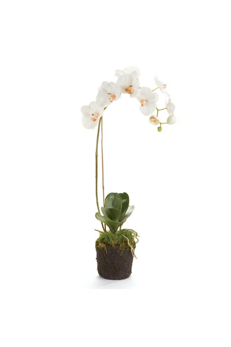 Phalaenopsis Orchid Faux (Fake) Drop-In 26", Main, color, White