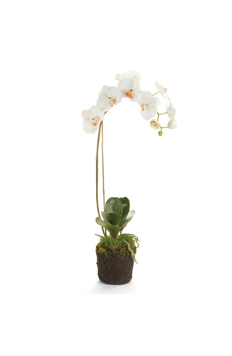 Napa Home & Garden Phalaenopsis Orchid Faux (Fake) Drop-In 26", Main, color, 