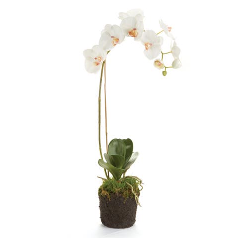Phalaenopsis Orchid Faux (Fake) Drop-In 26"