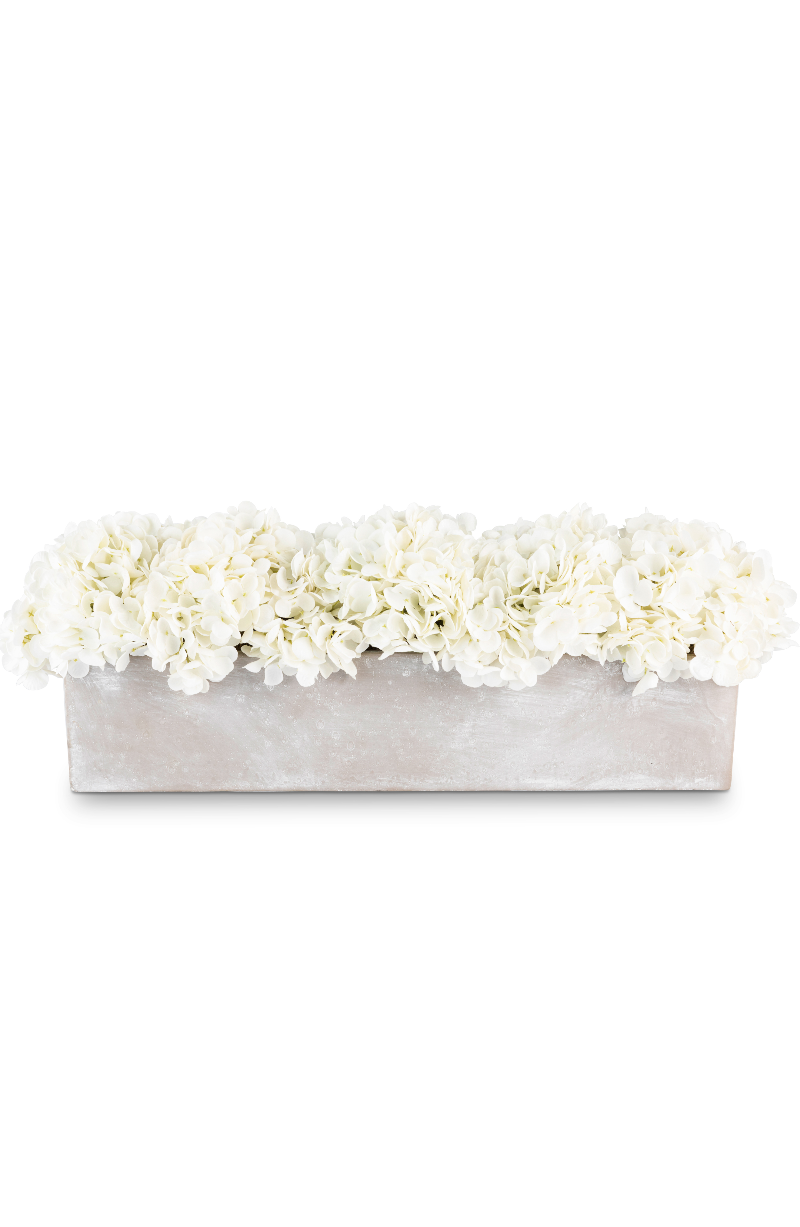 Cocobella Bellamy Hydrangea Arrangement