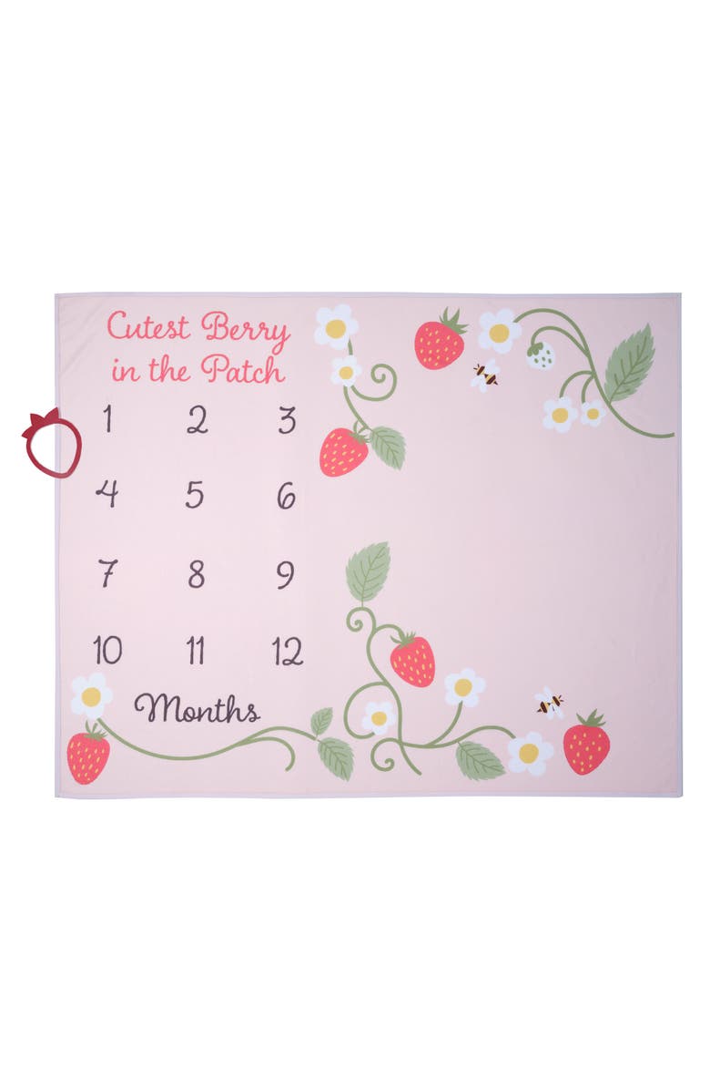 Lambs & Ivy Strawberry Patch Milestone Photo Opportunity Fleece Baby Blanket, Alternate, color, Pink