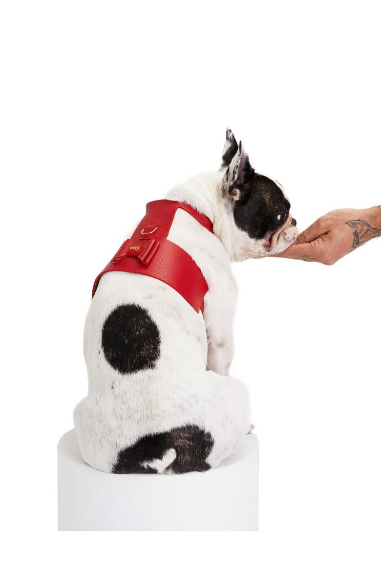 Moshiqa Bijou Harness, Alternate, color, Red