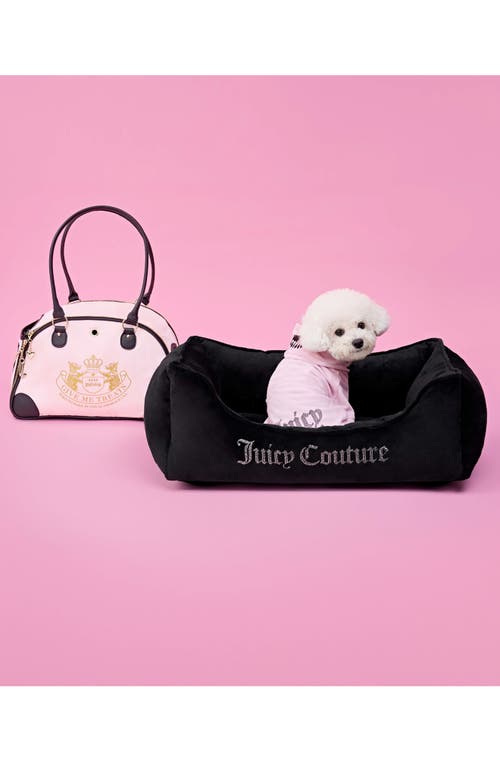 Juicy Couture Velour Dog Tracksuit In Royal Purple