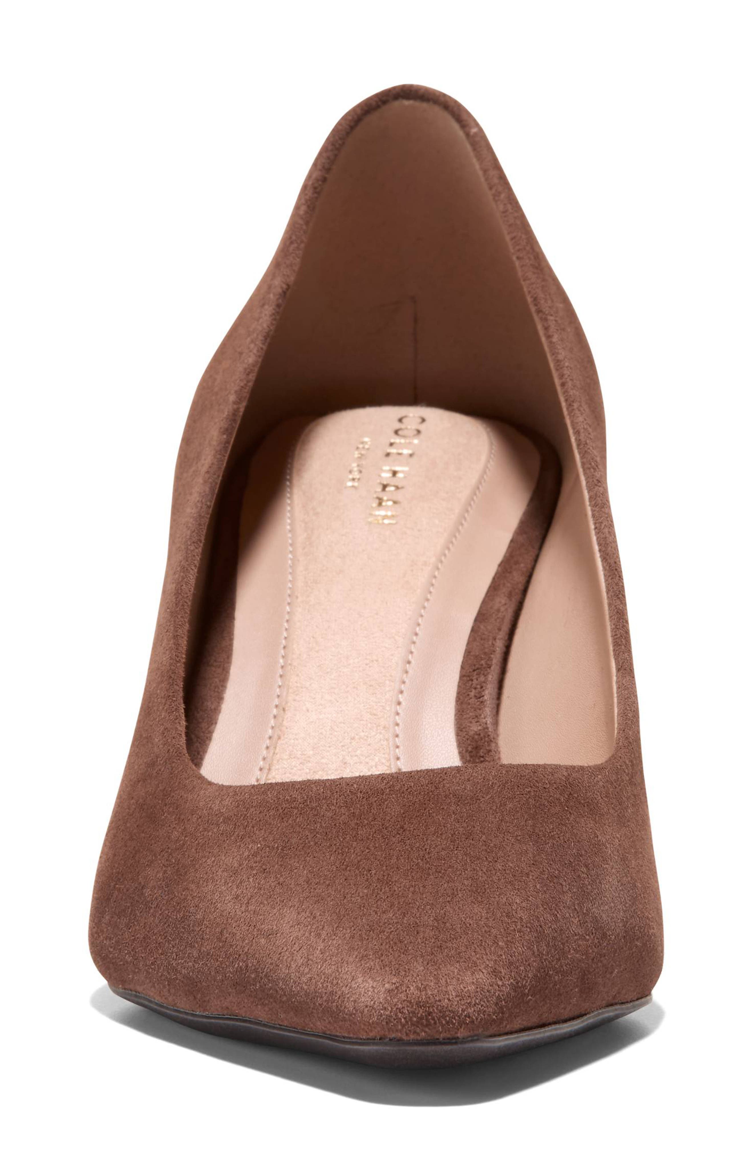 The Go-To Janey Pointed Toe Pump, Alternate, color, FONDUE FUDGE SUEDE