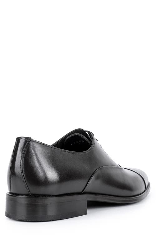 Vellapais Dinero Perforated Oxford In Black