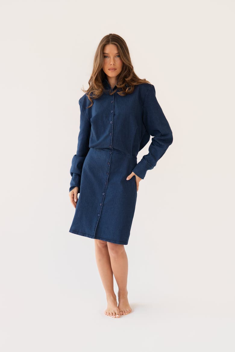 Shani Dress, Main, color, Denim