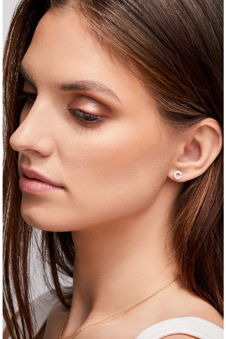 Circle of Life Diamond Stud Earrings (Nordstrom Exclusive), Alternate, color, 32RD0.12 16TBP0.20