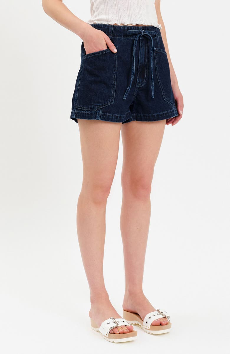 DAZE Catalina High Waist Tie Waist Shorts, Alternate, color, Blue Mood
