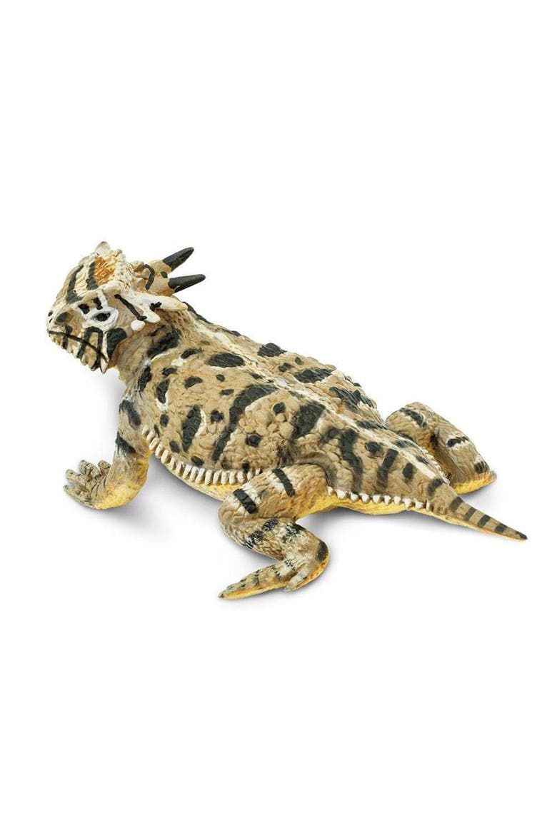 Horned Lizard Toy, Main, color, No Color