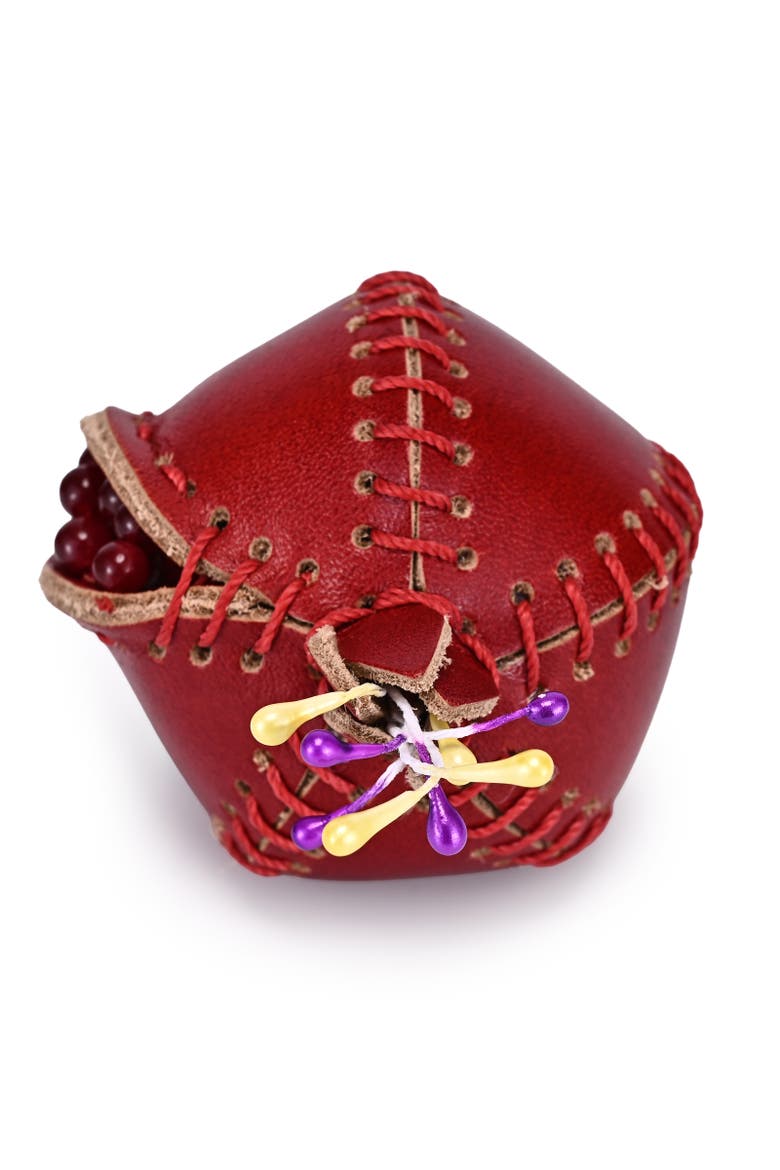 Pom Genuine Leather Botanical Fruit Charm, Alternate, color, Red