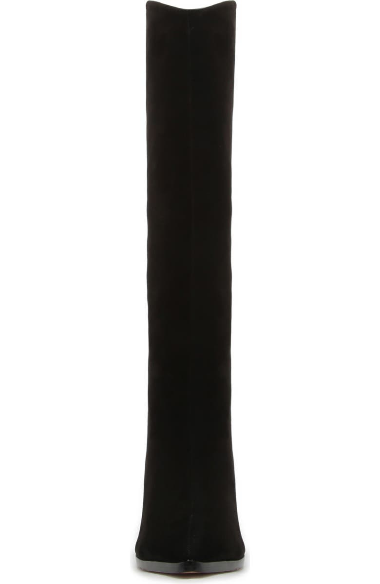 Schutz Maryana Pointed Toe Block Heel Knee High Boot, Alternate, color,