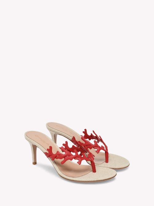 Gianvito Rossi Ocean Thong Sandal In Red