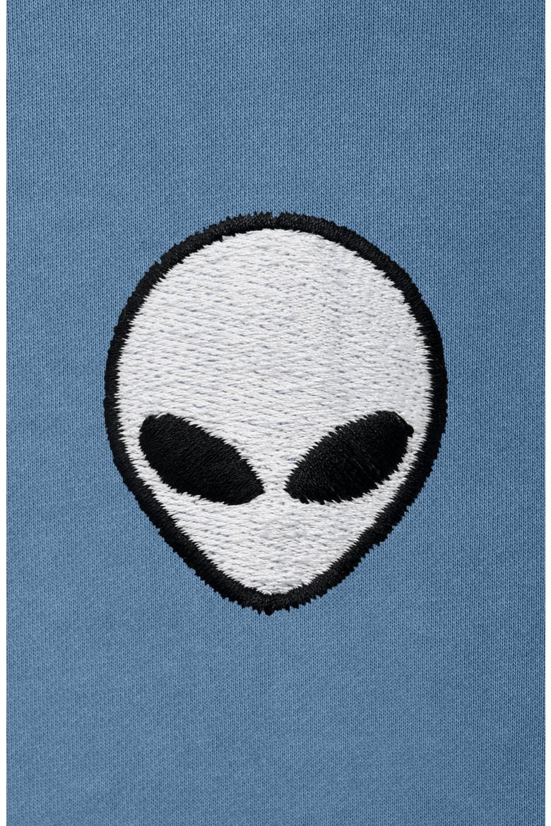 Mens Lil Alien Heavyweight Pigment Dye Tee, Alternate, color, Pebble Blue