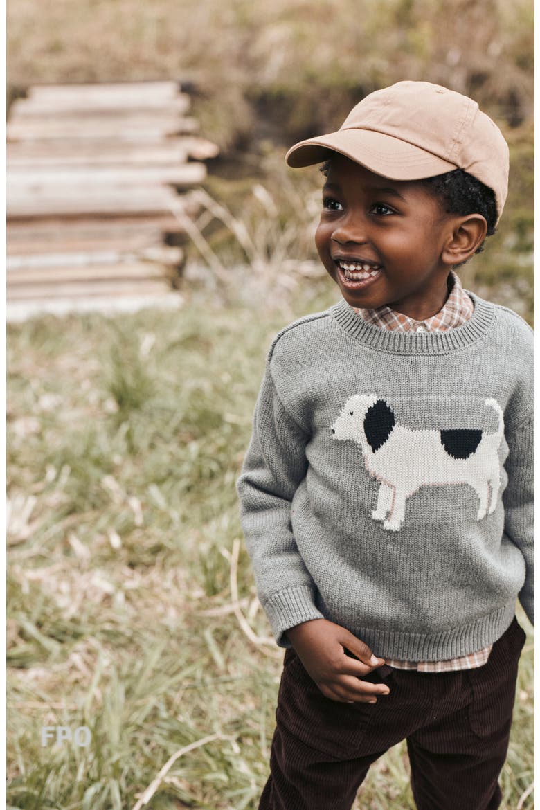 Kids' Organic Cotton Sweater, Alternate, color, LP GREY DOG