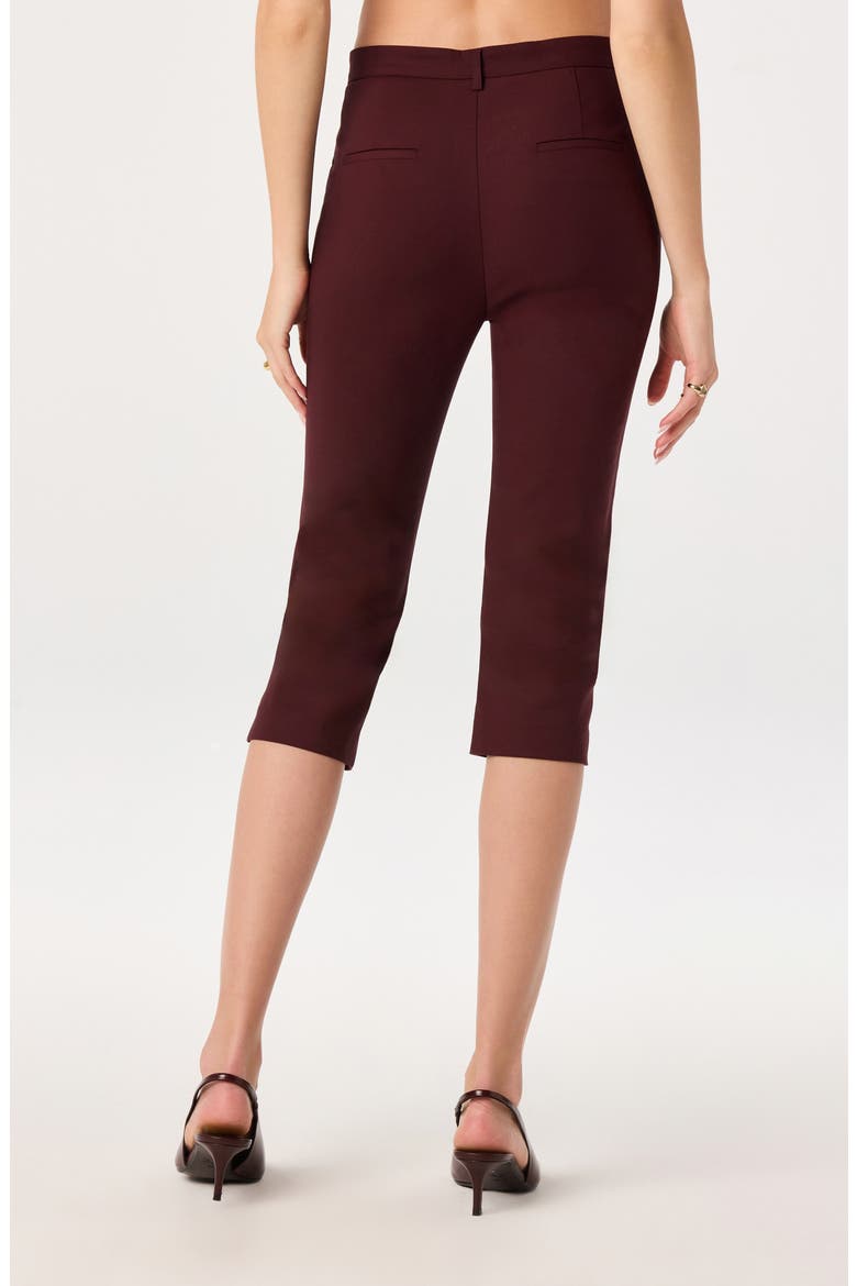 Cardin Capril Pants, Alternate, color, WINE