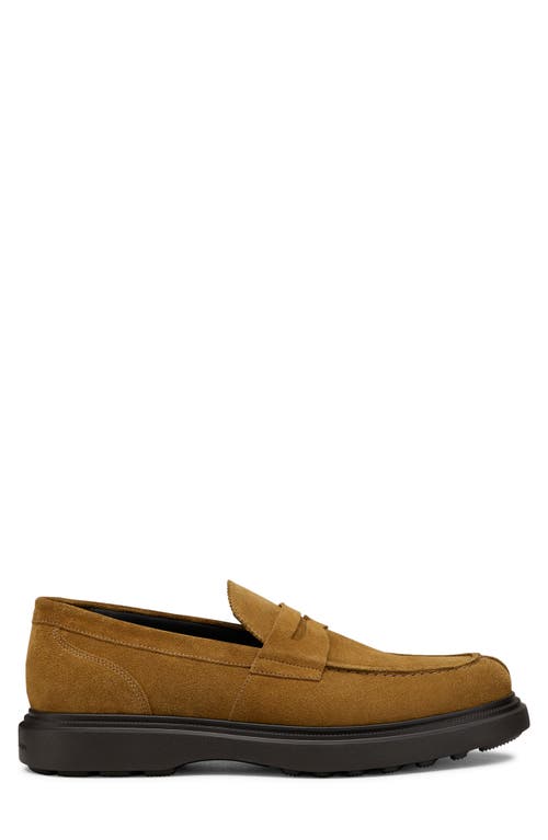 Stuart Weitzman Alvin Penny Loafer In Cactus