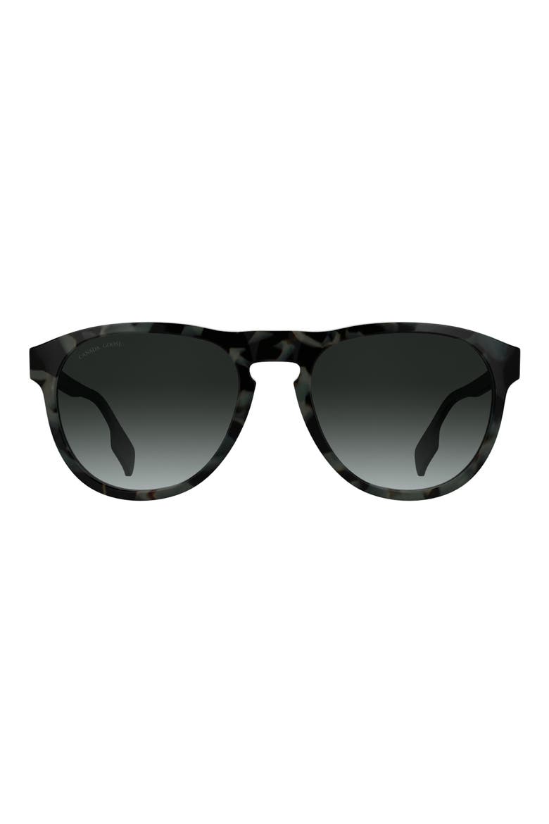 Disc Logo 55mm Oval Sunglasses, Main, color, BLACK/ HAVANA GREY