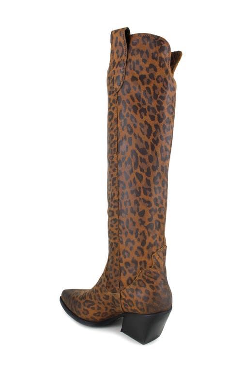 Zigi Valezka Knee High Boot In Brown