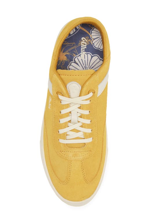 Olukai Haupu Sneaker In Multi
