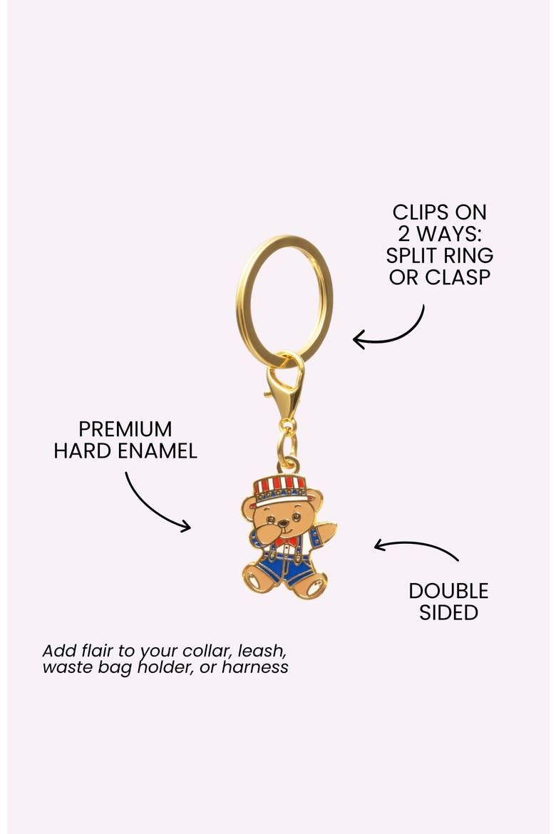 American Bear Pet Collar Charm, Alternate, color, American Bear