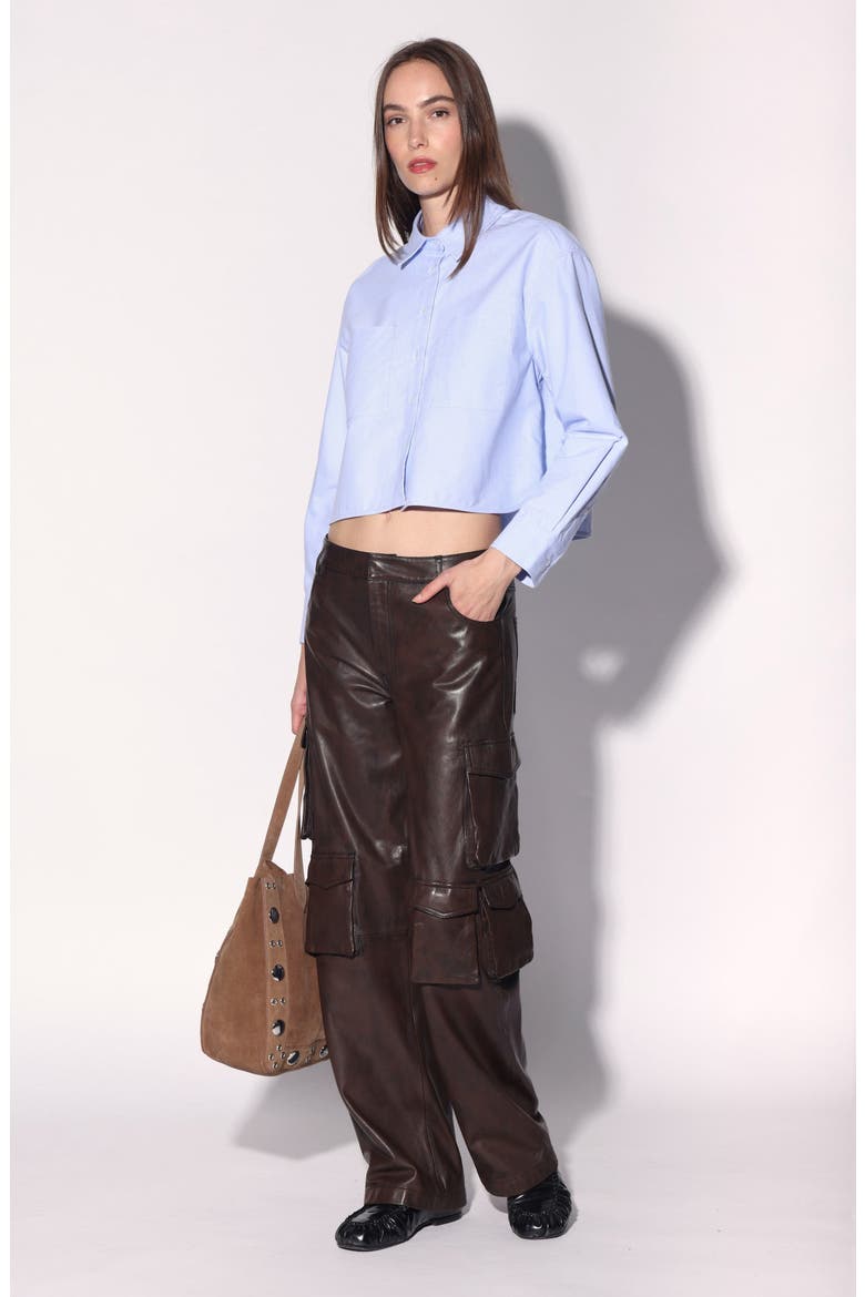 Danny Leather Pant, Alternate, color, Brown