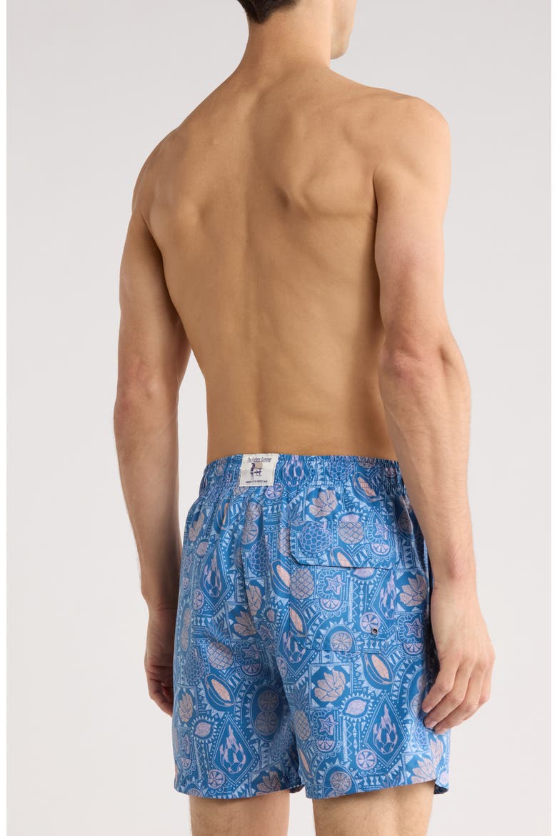 Print Volley Swim Trunks, Alternate, color, BLUE