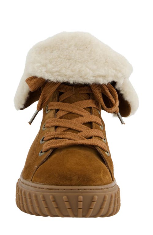 Paul Green Cozy Wool Lined Sneaker In Brown
