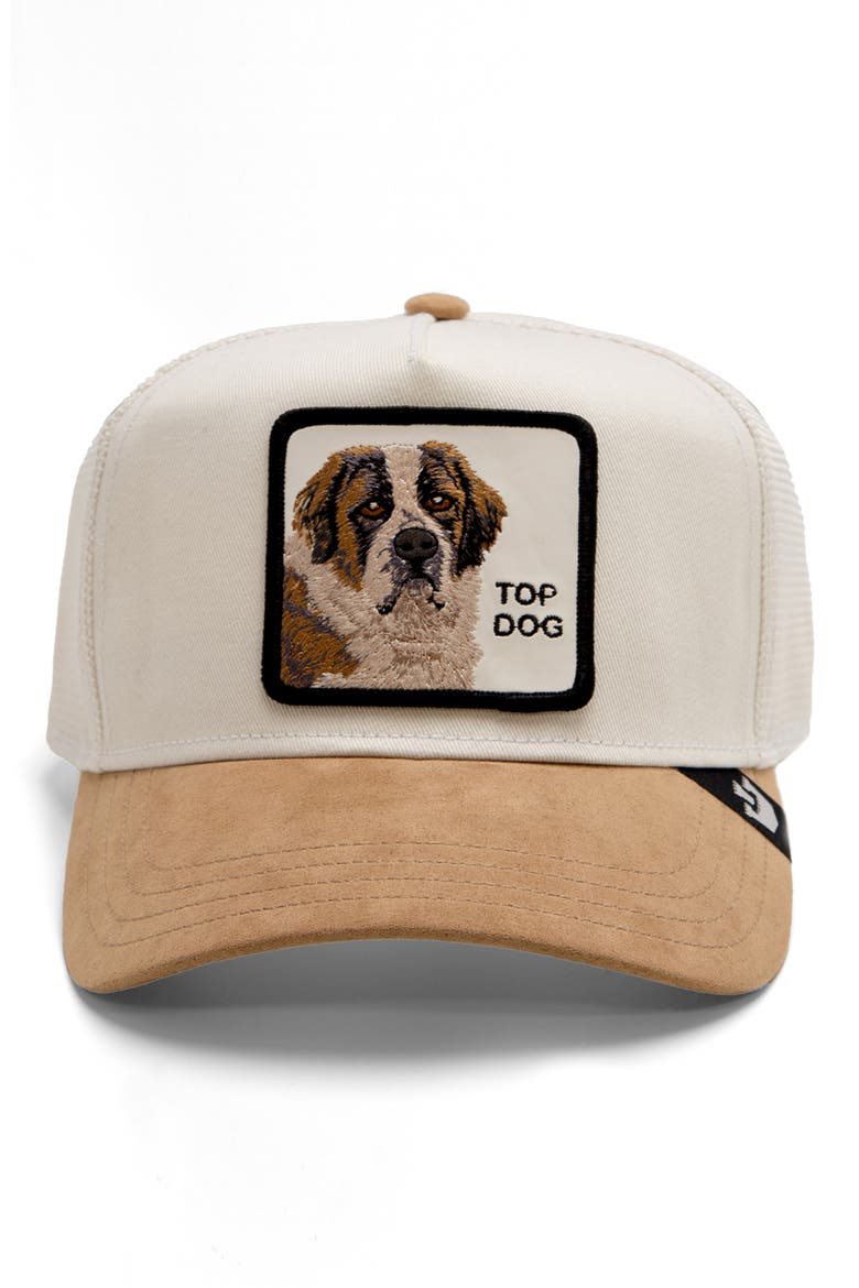 The Suede St. Bernard Patch Snapback Trucker Hat, Alternate, color, TAN