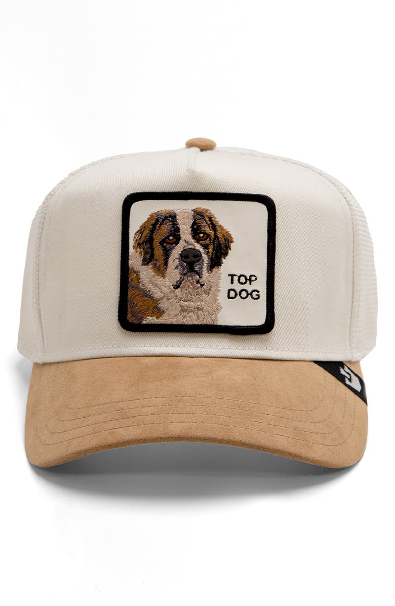 Goorin Bros. The Suede St. Bernard Patch Snapback Trucker Hat, Alternate, color, 
