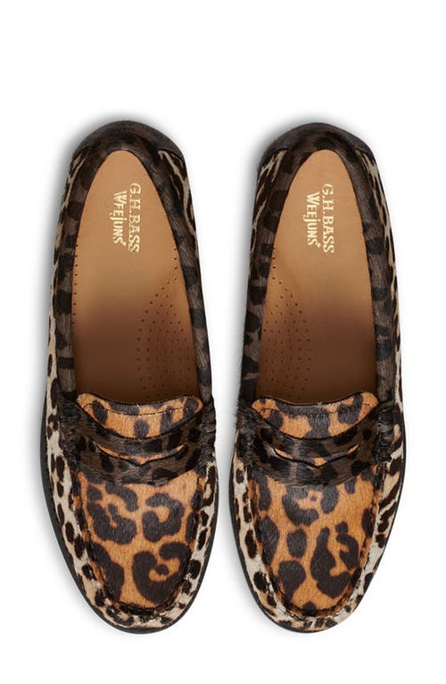 G.h.bass Whitney Genuine Calf Hair Penny Loafer In Animal Print
