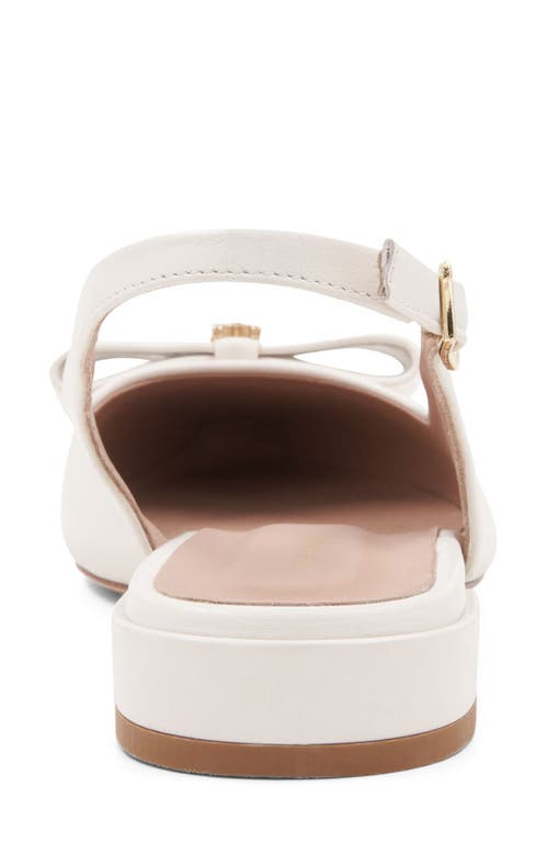 Bruno Magli Bella Pointed Toe Slingback Flat In Bone
