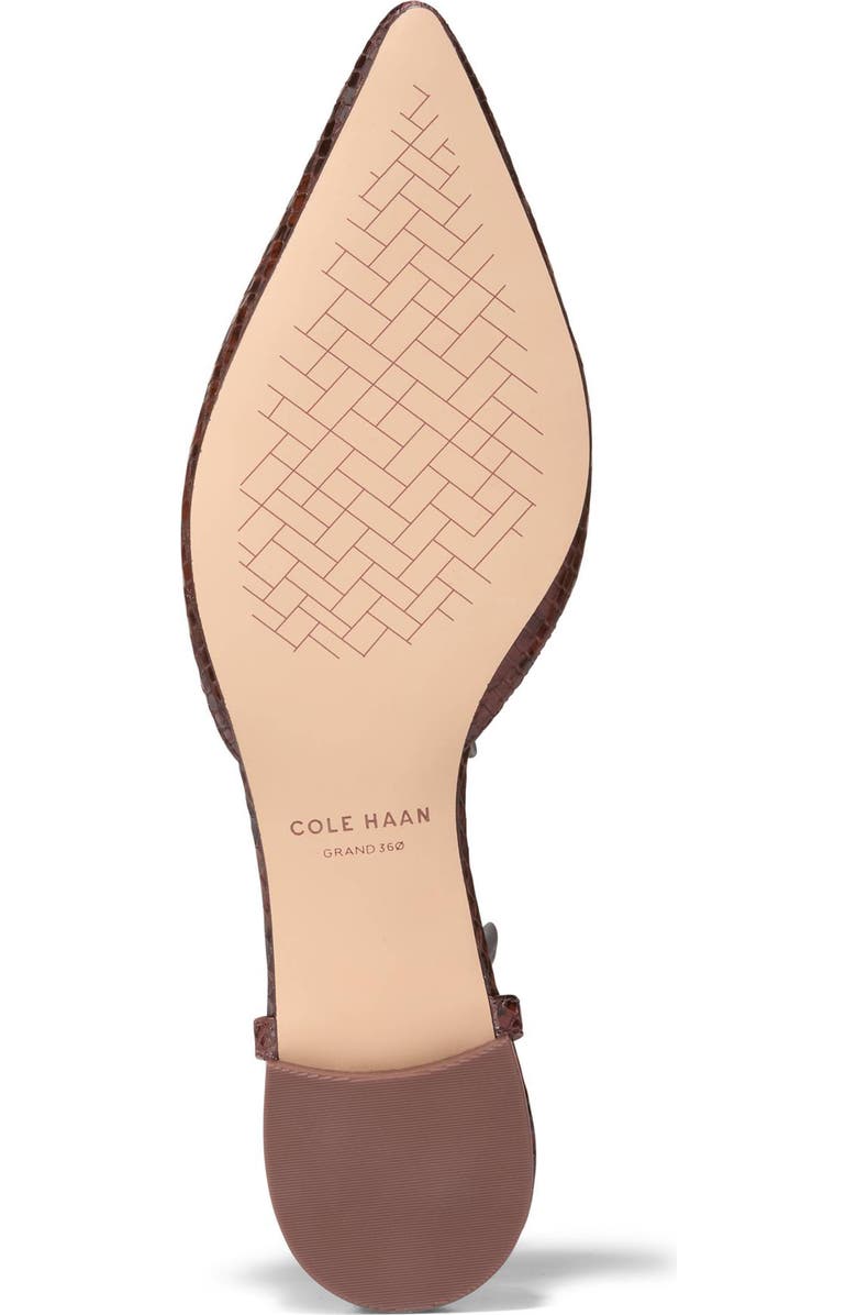 Cole Haan Marlah T-Strap Pointed Toe Ballet Flat, Alternate, color, Dark Cuoio Snake Print Leather