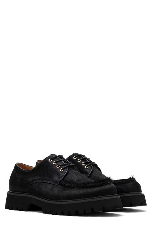 Marc Nolan Luca Genuine Calf Hair Lug Sole Derby