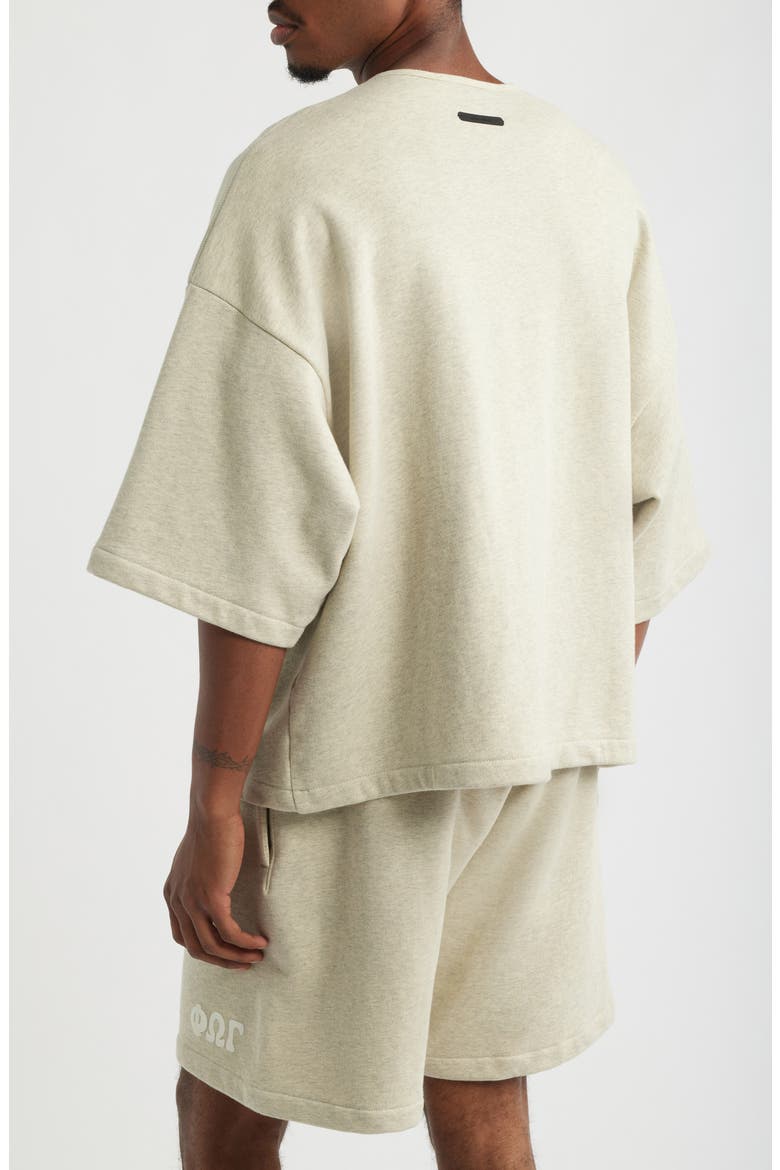Appliqué Henley Sweatshirt, Alternate, color, WASHED VANILLA HEATHER