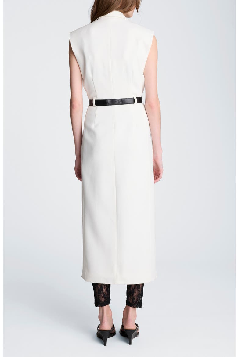 Double Breasted Midi Trench Dress, Alternate, color, NATURAL WHITE / BLACK