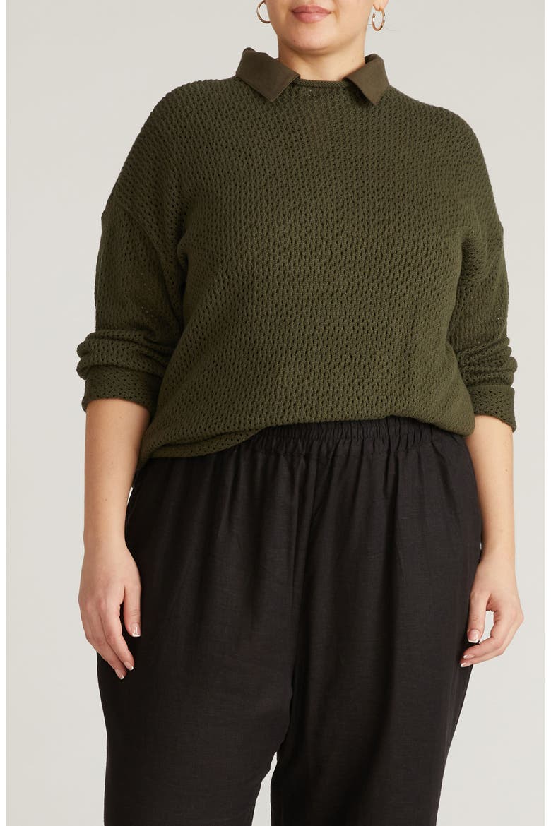Positano Cotton Pointelle Sweater, Main, color, CAMO GREEN