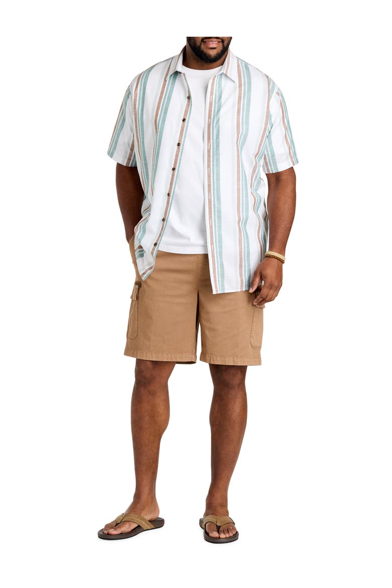 Big & Tall Striped Sport Shirt, Alternate, color, MULTI