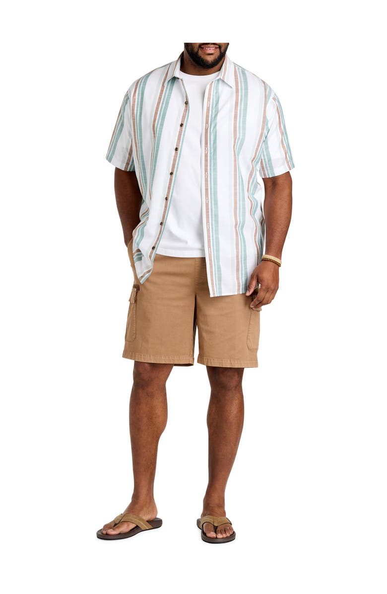 True Nation by DXL Big & Tall Striped Sport Shirt, Alternate, color, Multi