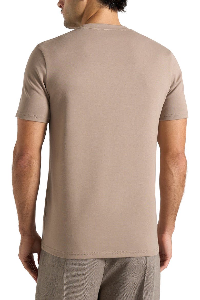 Regular Fit Cotton T-Shirt, Alternate, color, Taupe