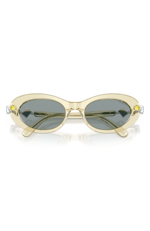 Swarovski 53mm Oval Sunglasses