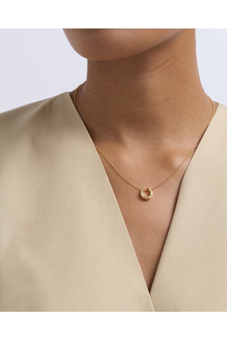 Gold Biography Horseshoe Necklace, Alternate, color, Gold