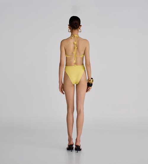Maygel Coronel Delphi Two Piece