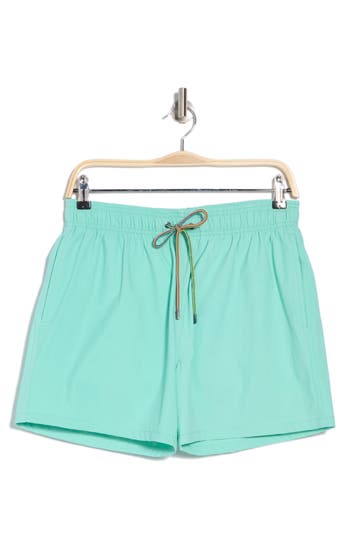 Bugatchi Swim Trunks In Mint