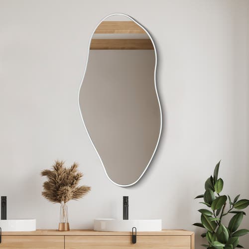 Jonathan Y Everly Irregular Framed Decorative Wall Mirror In Silver